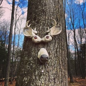 Meet your Posher, Cecelia